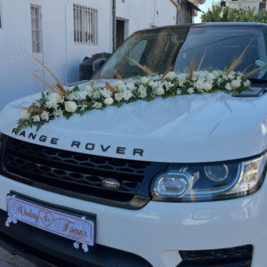 Captura de ecrã 2025-08-28 235618